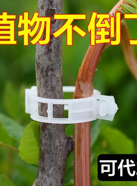 Plant clips for vines and branches, including plastic bindin