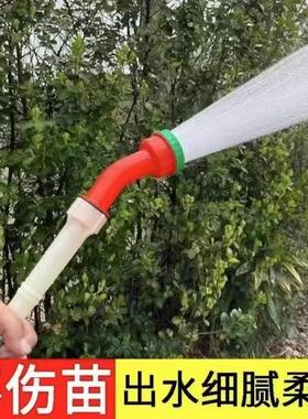 Watering flowers and vegetables, seedling trays, agricultura