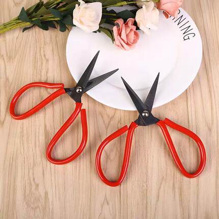 Specialized pointed-tip scissors for paper cutting, small si