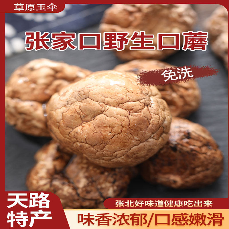 【sauir粉丝专享】张北特产口蘑礼盒400g