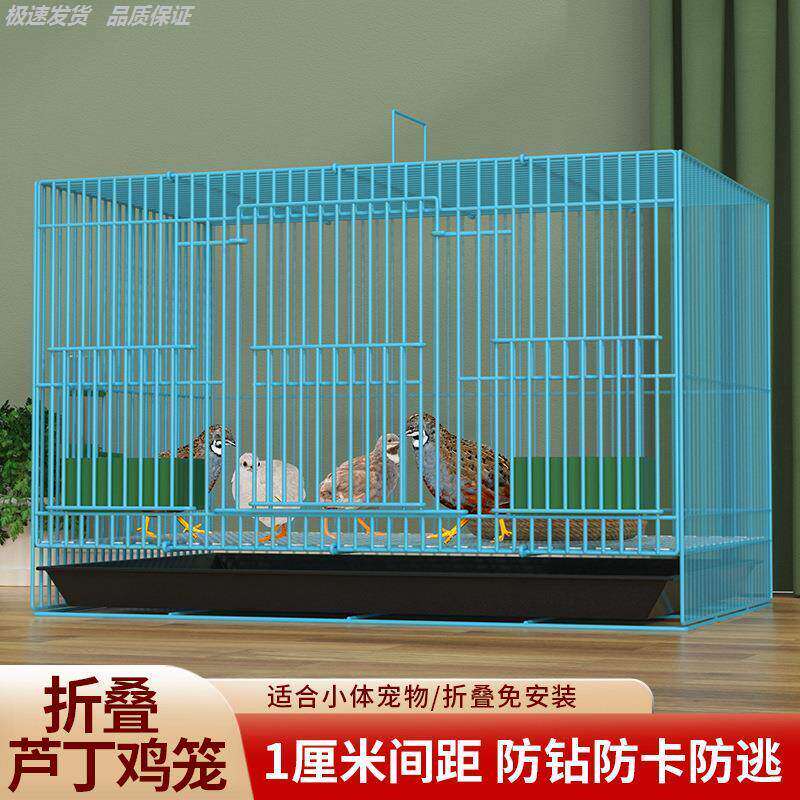 鸟笼子鸽金属鹦鹉八哥秀鸟笼
