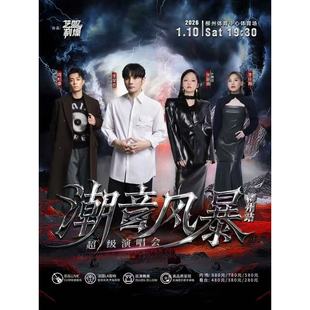 潮音风暴超级演唱会 柳州站