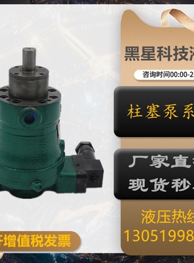 全新启东10/16/25/32/40/63/80/100/160/250PCY14-1B轴向柱塞现货