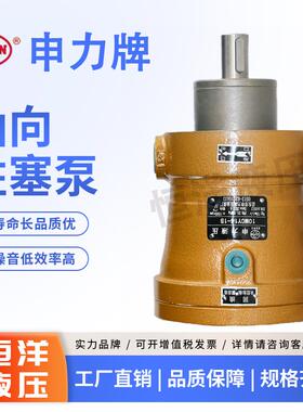 全新启东申力高压油泵10/25/40/63/80/108/160/250MCY14-1B轴包邮