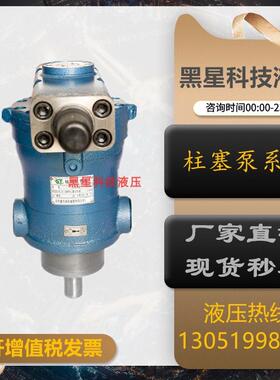 新款上海邵扬10/16/25/32/40/63/80/100/160/250YCY14-1B轴向包邮