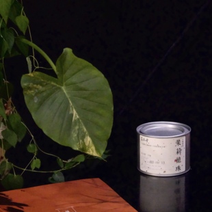 觅花堂 天花板碧潭级 2025茉莉龙珠茉莉花茶飘雪银针雪球1斤装