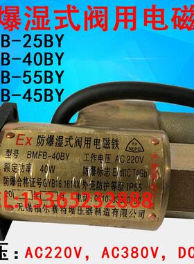 新款BMFZ-10GY BMFB-10GY BMFB-30BY无锡福尔赛特 防爆湿式阀包邮