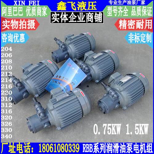 新款RBB 203 204 206 208 210 212 216 220摆线油泵TOP Y ROP包邮