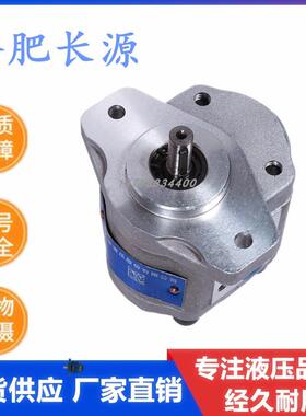 新款合肥长源齿轮泵CBW-F304/F306/F310-ALP/AFP/CLP/CFP 314包邮