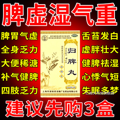 【仁济堂】归脾丸(浓缩丸)200粒*1瓶/盒