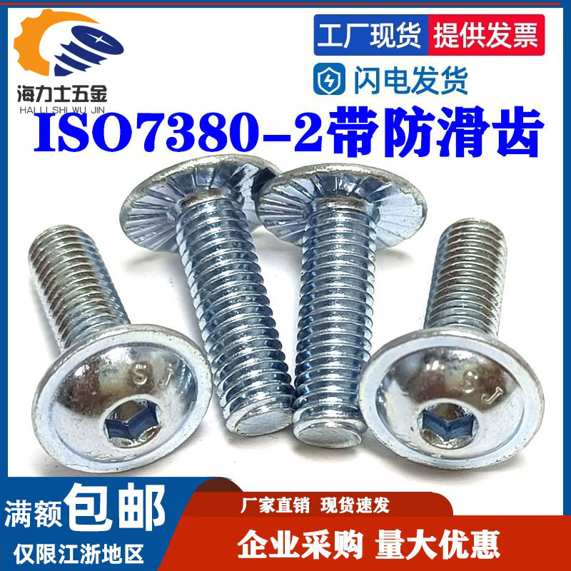 GB7380.2带介压花螺丝带垫防滑