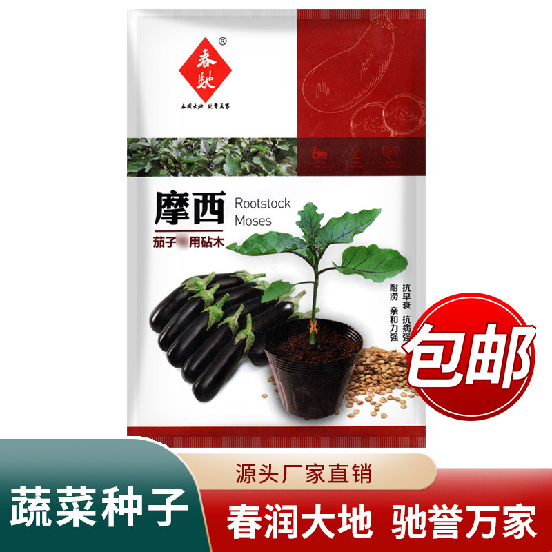 茄子砧木种子 摩西 杂交野茄子种子野生砧木种子嫁接小番茄抗性强