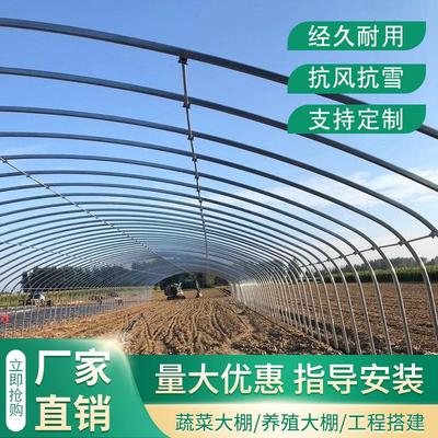 种植钢架蔬菜半坡大棚骨架钢管全套连栋温室定制暖棚养殖鸡鸭猪羊