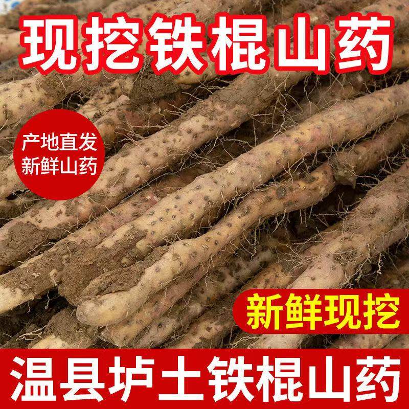 正宗河南焦作温县垆土地铁棍山药新鲜现挖产地直发铁杆怀山药