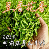 高山绿茶 春茶老茶树 杭州富阳明前龙井茶叶 2025年新茶 农家自产
