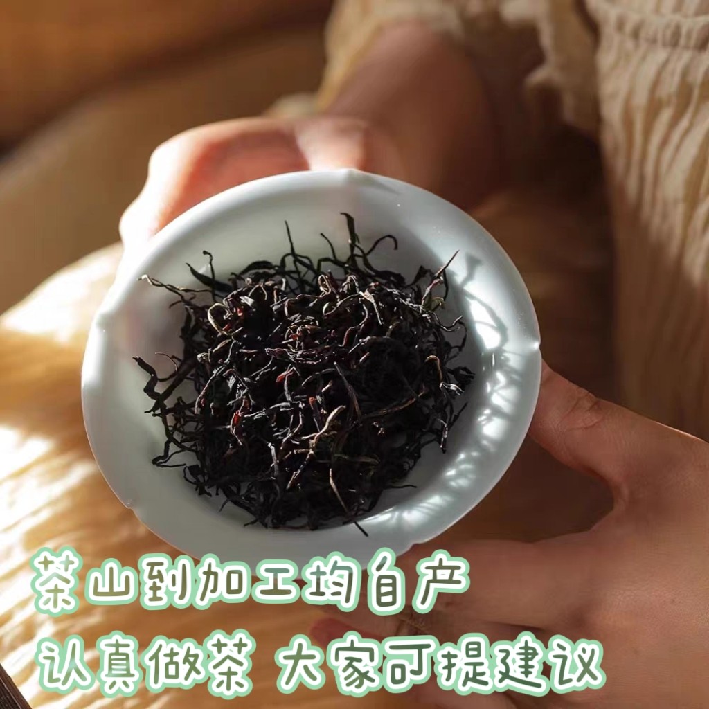 2026新茶 龙井红茶 九曲红茶梅香 杭州高山老树春茶 茶农直销