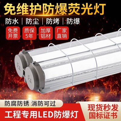 LED防爆灯管仓库厂房车间隔爆型荧光灯单管双管防潮三防灯工程用