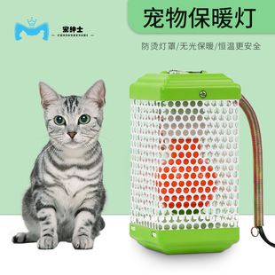 50W75W100W加温器 兔 鹦鹉保温灯 狗 苍鼠保暖灯 猫 宠物保暖用品