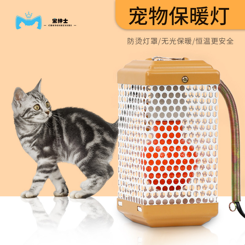 小蜜鼬加热器 恒温50W宠物加温灯 75W苍鼠兔龙猫狗鹦鹉100W保暖器,宠物/宠物食品及用品,鸟禽其他,淘宝优惠券,粉丝福利购,淘宝优惠卷