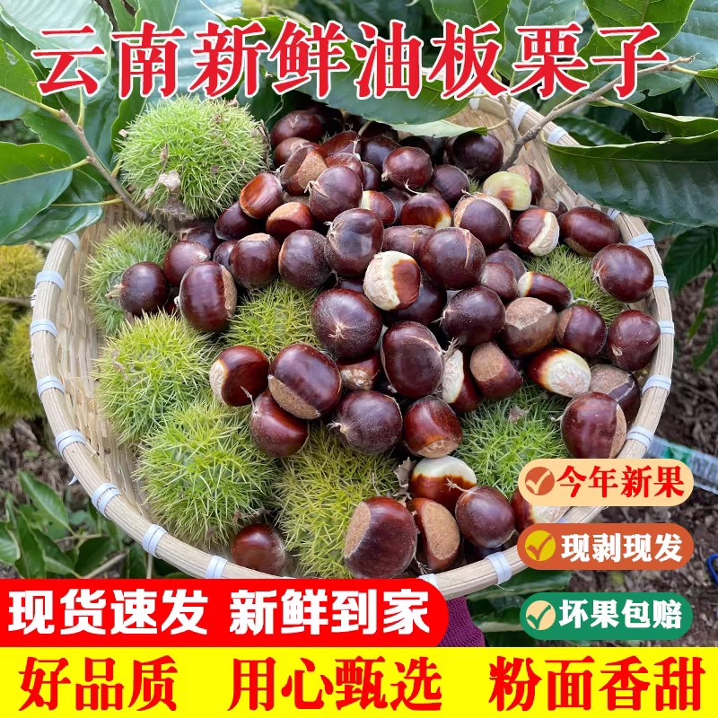 新鲜生板栗2026年板栗子现摘新鲜板栗/板栗仁