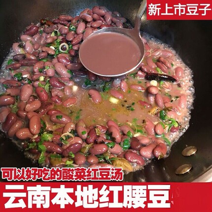 25年云南特产新红豆四季豆五谷腰豆红豆酸菜豆米火锅芸豆干货