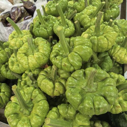 南瓜 云南特产新鲜蔬菜小瓜姜柄瓜面瓜小绿嫩瓜全国包邮