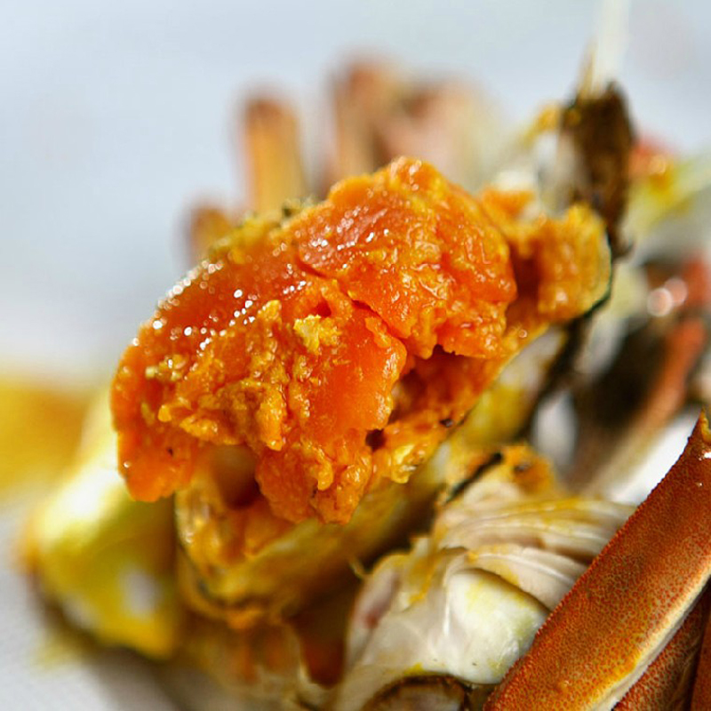 大闸蟹兴化手工精选红膏