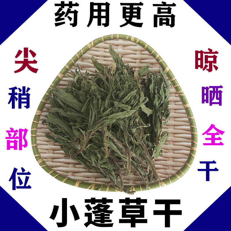 野生小蓬草小飞蓬飞蓬草小白酒草嫩尖稍中药草干品无杂质100g包邮