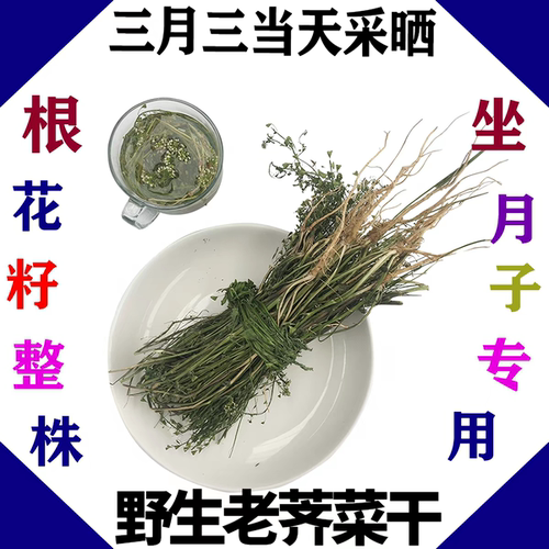 新纯野生整株荠菜带花根茎入药