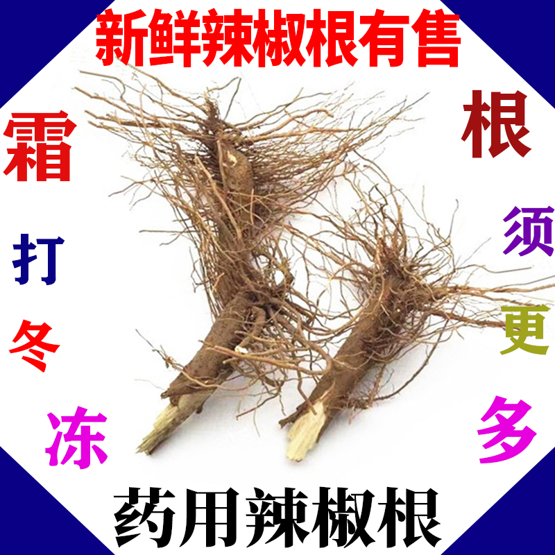 辣椒根农家小米椒秧根头经后1斤