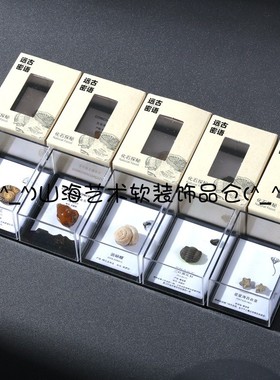 天然古生物化石三叶虫菊石牙齿腕足动物化石科普收藏教学礼物原石