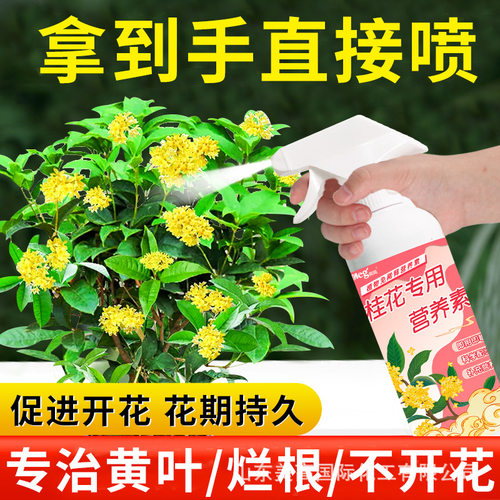 厂家 代发桂花营养液通用有机肥料免稀疏家用盆栽催花专用营养