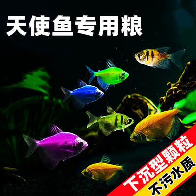 阿穆斯鱼食彩裙鱼七彩鱼天使鱼粮小型鱼热带下沉饲料天使鱼饲料