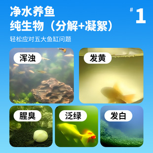 玖龙台纯生物水质净化剂鱼缸净水剂清澈剂水立清水质稳定剂除藻剂