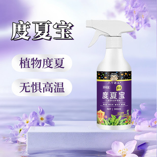 厂家供应八个老头多肉度夏宝植物抗逆护理液多肉专用营养液抗高温