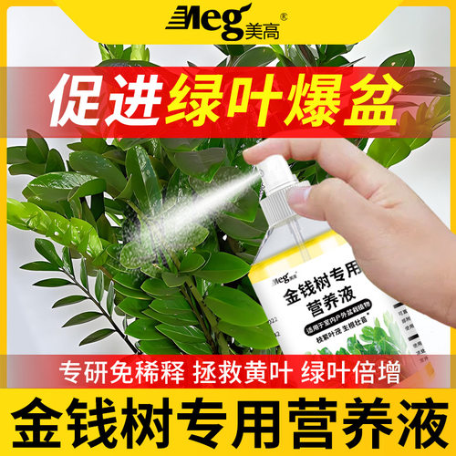 美高金钱树专用营养液绿植促生长肥料通用免稀释花肥水溶肥厂家
