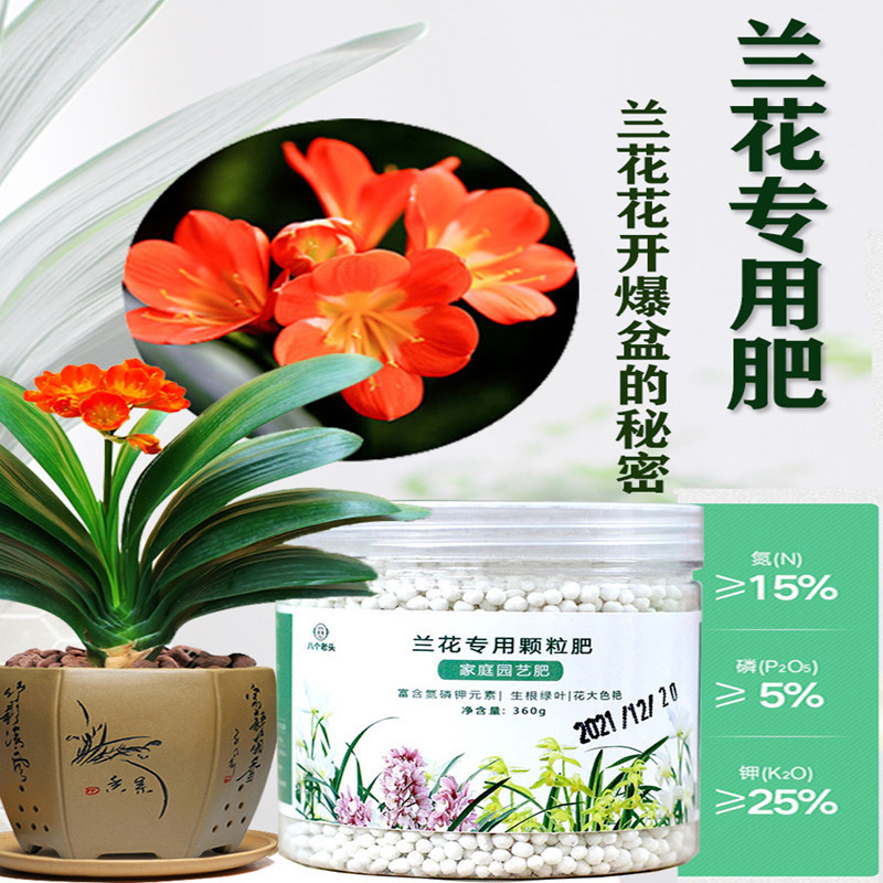 现货 兰花专用肥 缓释肥控释肥君子兰蝴蝶兰专用复合肥料