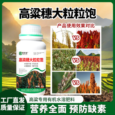 高粱穗大粒粒饱高产专用粒粒饱满促根壮苗丰产增收大田农作物农用