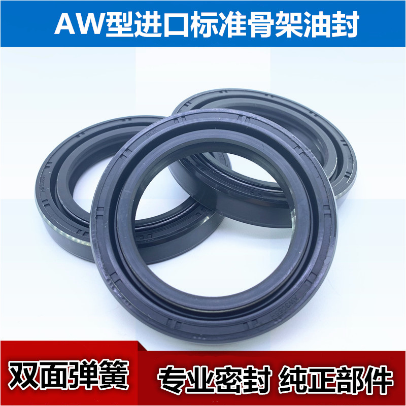 进口标准骨架油封双簧油封AW4063E 骨架油封DC100*125*13