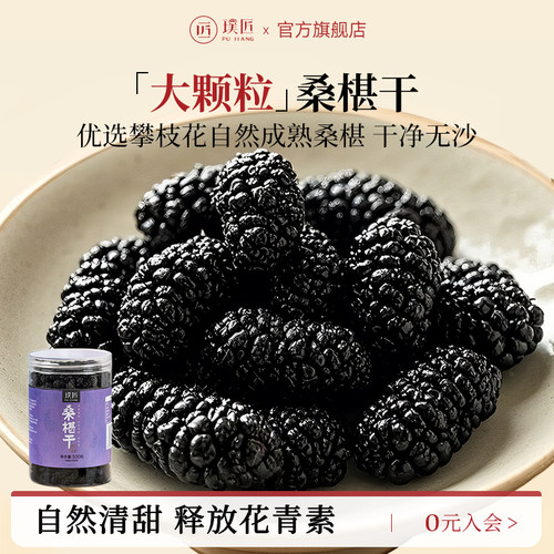 璞匠黑桑葚干果干零食桑果干
