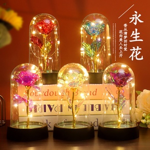 金箔玫瑰花玻璃罩情人节礼物跨境永生花创意摆件小夜灯生日礼品