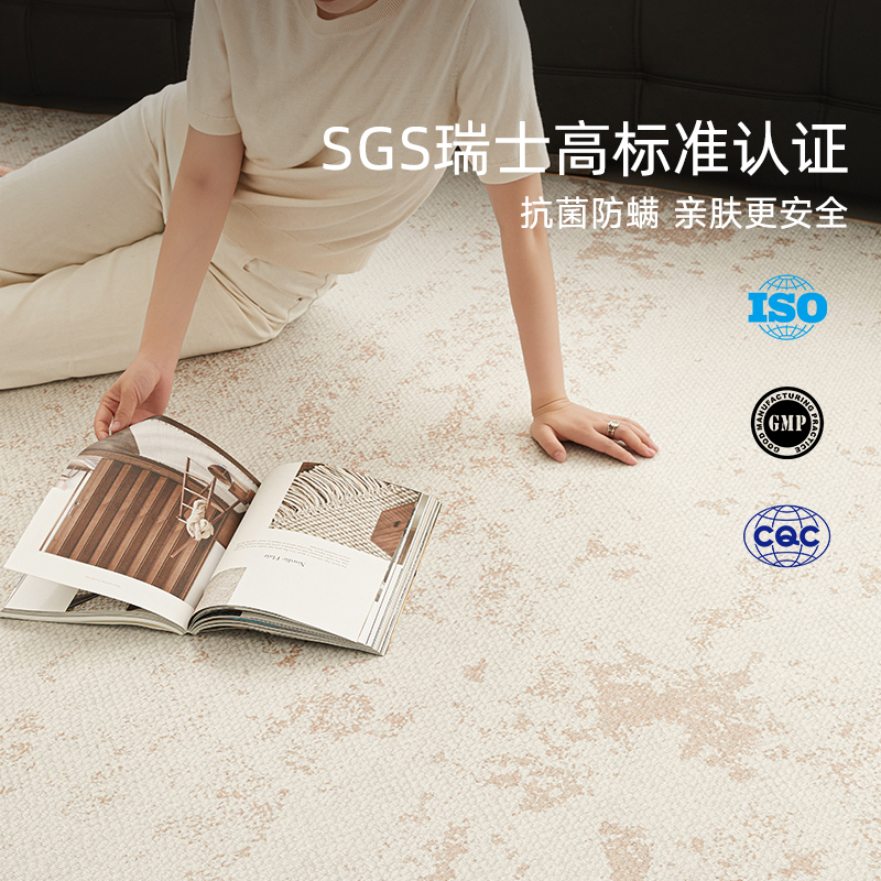 轻奢高级感可拆洗地毯客厅