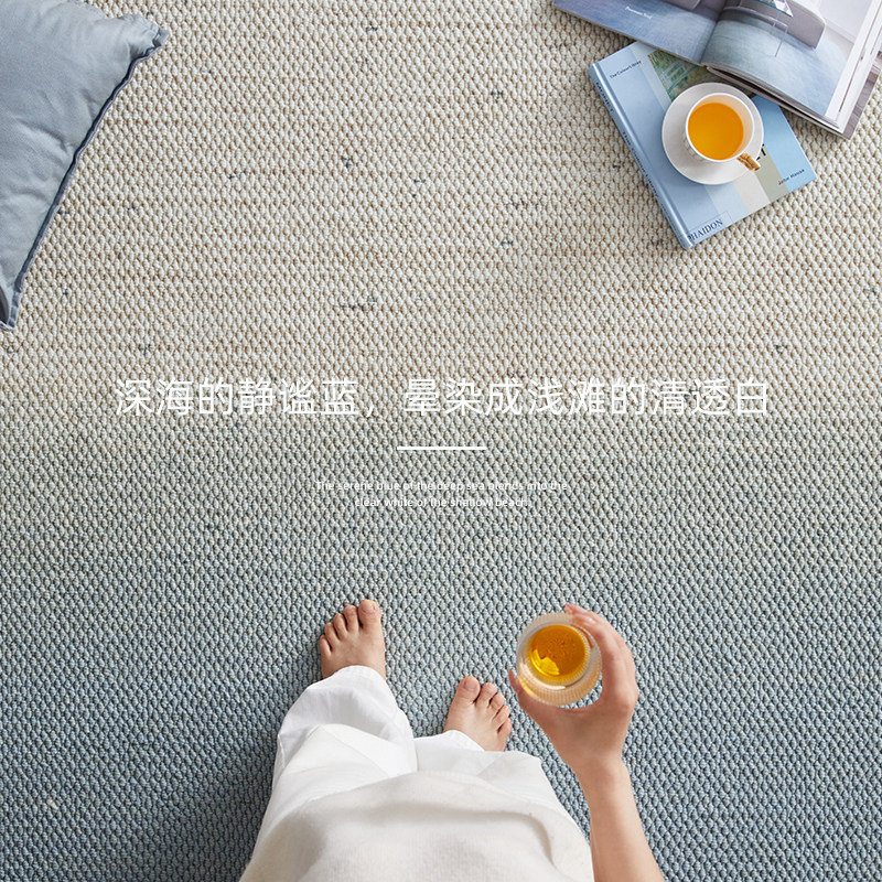 奶油风羊毛地毯2026新款客厅斯洛蓝海小清新卧室房间沙发茶几地垫