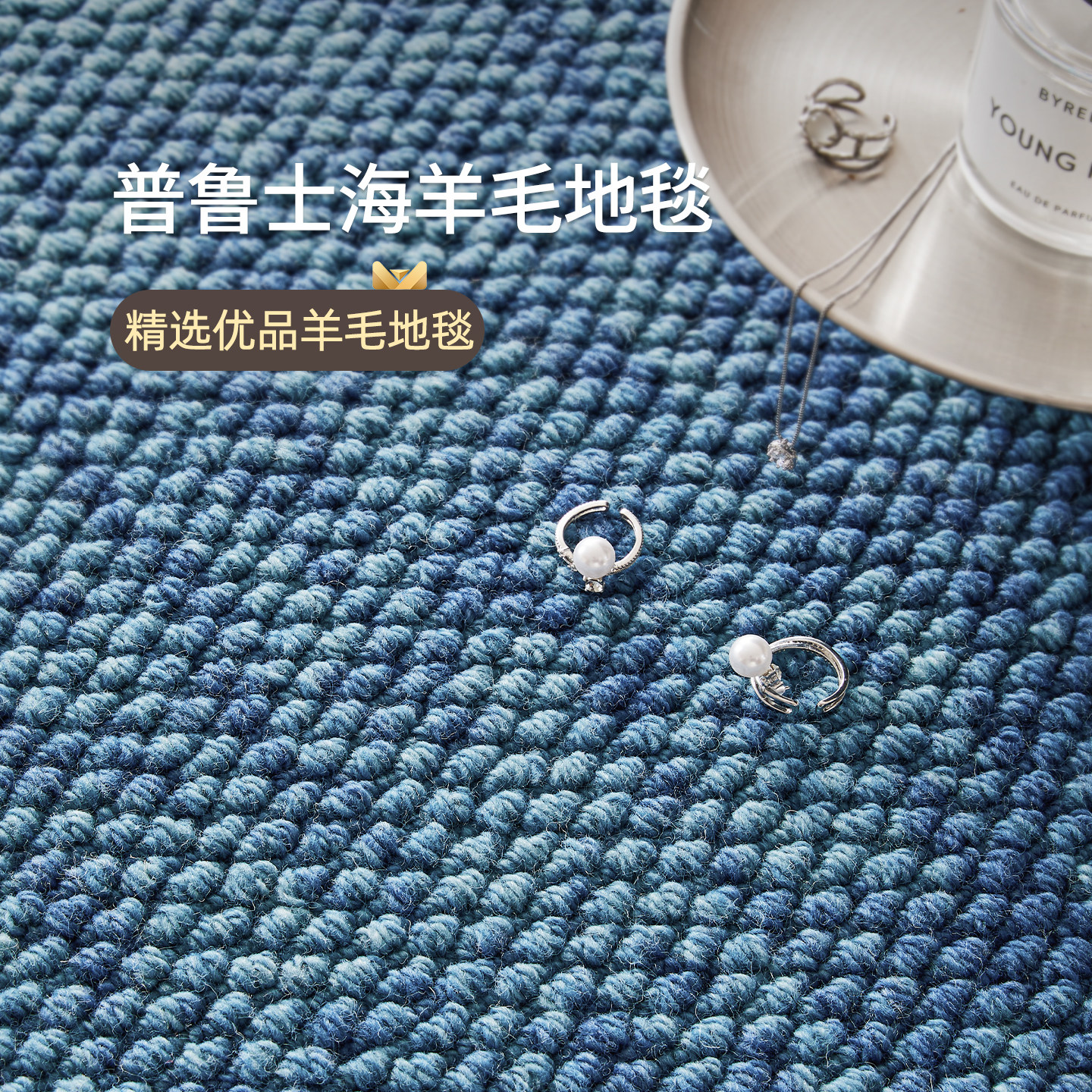 普鲁士海多巴胺进口羊毛地毯客厅免洗可擦高级感卧室茶几2026新款