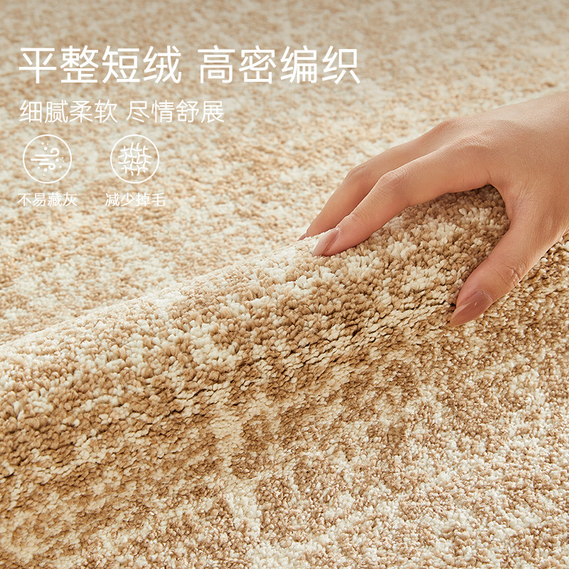 耐脏之王无胶地毯客厅2026新款现代高级感防水抗污抑菌客厅茶几毯