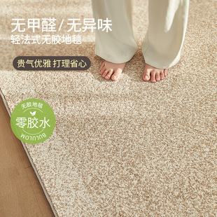 轻奢高级感现代简约无胶防水免洗可擦卧室床边毯 地毯客厅2024新款