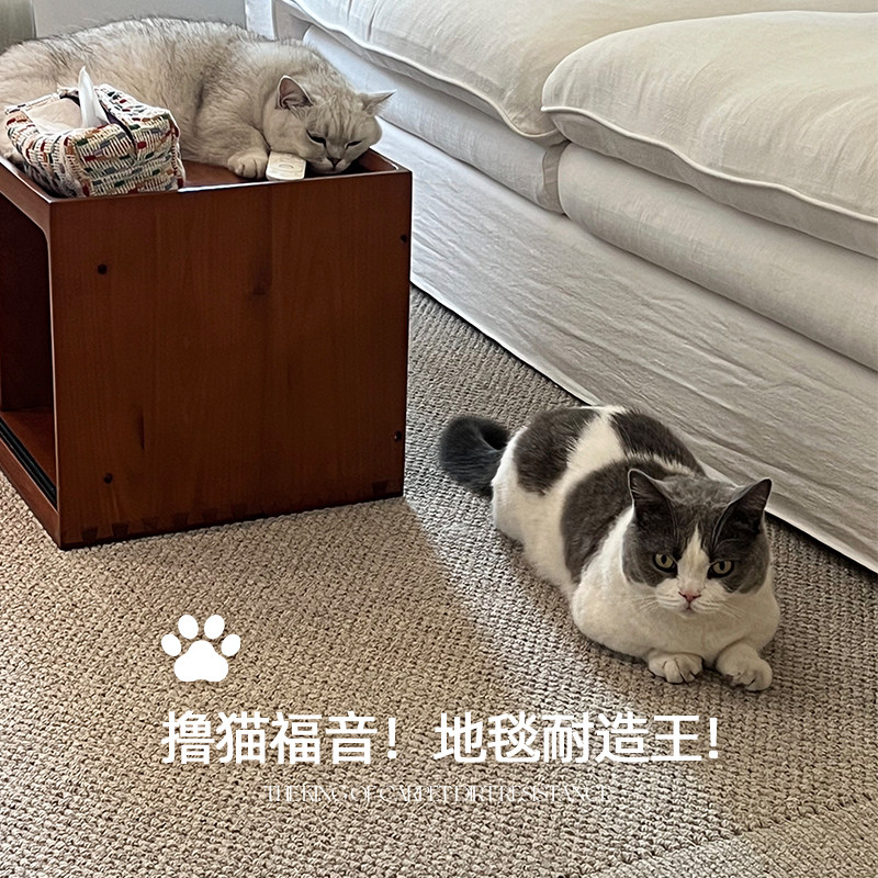 羊毛地毯客厅2025新款中古风沙发卧室房间免洗可擦耐抓磨耐脏地垫