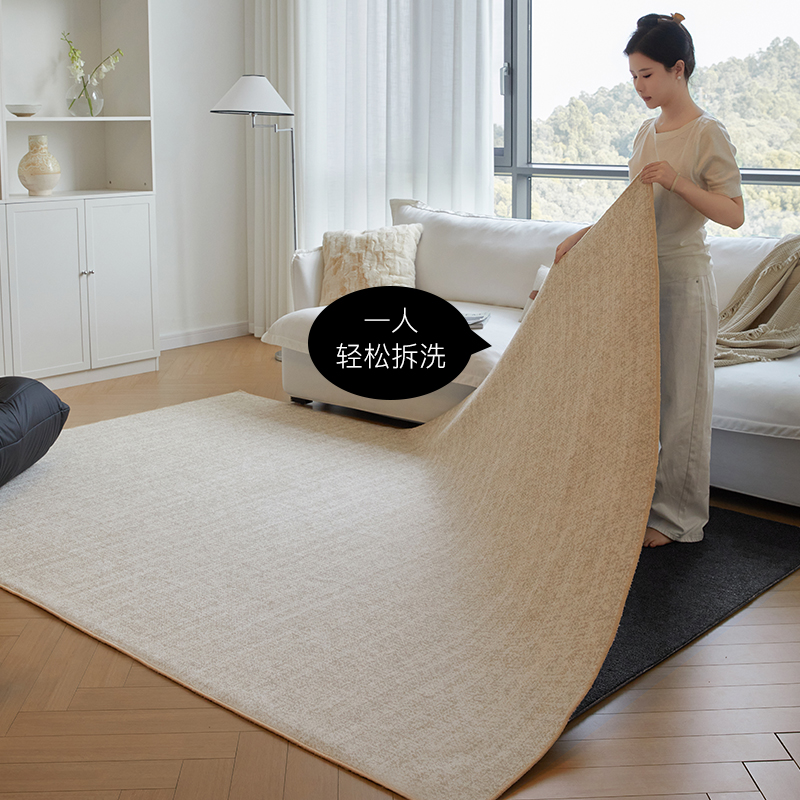 【买就送毯面】双层可拆机洗地毯
