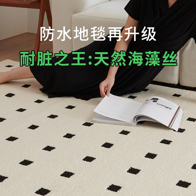 防水防污抑菌地毯客厅黑石公寓法式轻奢现代简约沙发毯卧室高级感属于什么档次？