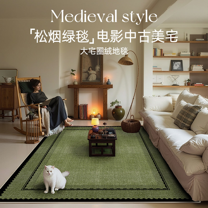 地毯客厅2026新款免洗可擦防水沙发地垫家用轻奢高级感卧室床边毯